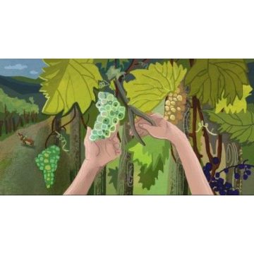 Borsi szüretel (Ringató) - Diafilm