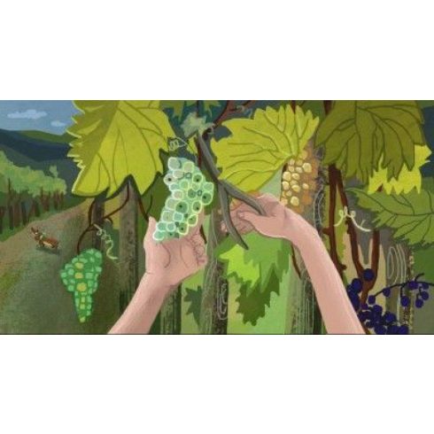 Borsi szüretel (Ringató) - Diafilm