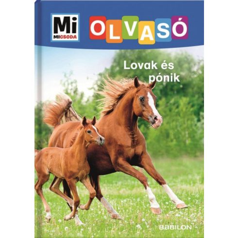 Lovak és pónik - Mi Micsoda Olvasó
