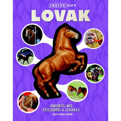 Lovak - Ismerkedj meg közelebbről a lovakkal!