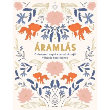 Áramlás