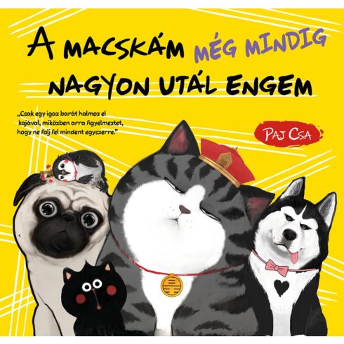 A macskám még mindig nagyon utál engem (Macska és Kutya 3.)
