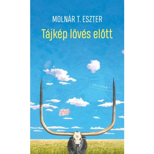 Tájkép lövés előtt