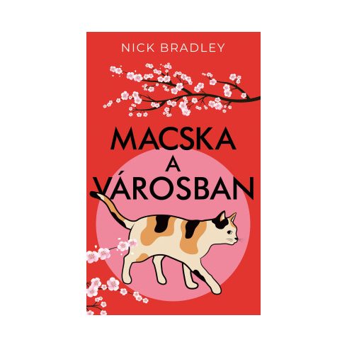Macska a városban