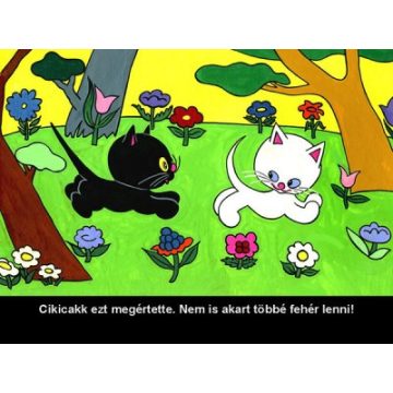 Cikicakk, a fekete cica - Diafilm