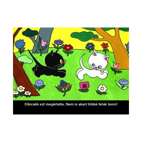 Cikicakk, a fekete cica - Diafilm