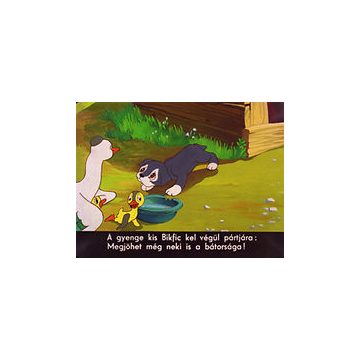 Kutyakötelesség - Diafilm