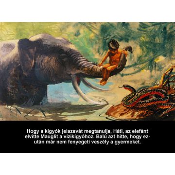 Maugli, a farkasok fia - Diafilm