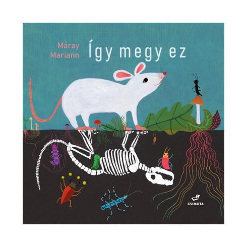 Így megy ez