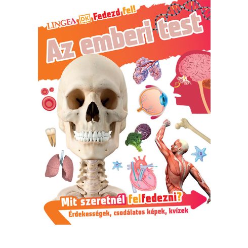 Fedezd fel! - Az emberi test