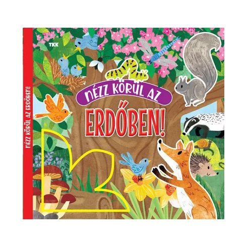 Nézz körül az erdőben!