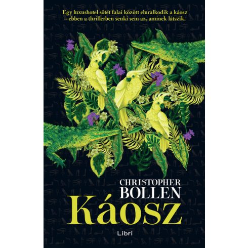 Káosz