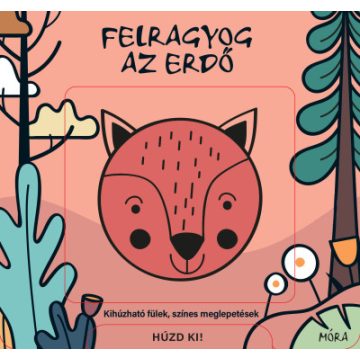 Felragyog az erdő
