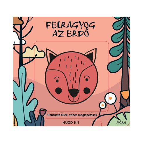 Felragyog az erdő