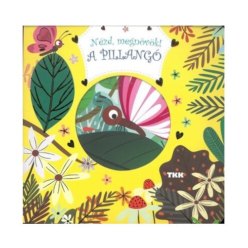 Nézd megnövök! - A pillangó